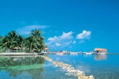 伯利茲公司注冊(cè)后能否在國內(nèi)直接經(jīng)營