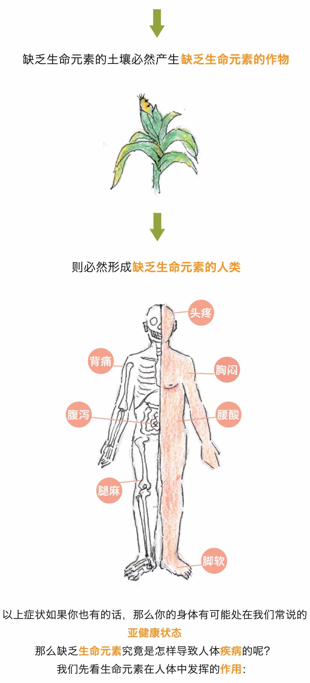 微信圖片_20201206174323.jpg 微信圖片_20201206174323.jpg