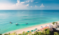 外國(guó)投資者進(jìn)行投資注冊(cè)印尼公司，對(duì)公司形式有何要求