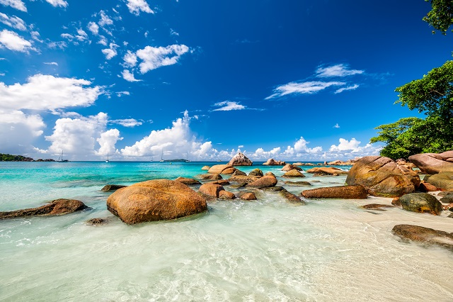 塞舌爾公司注銷后資產(chǎn)處理全析?