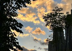 開(kāi)曼公司暫無(wú)實(shí)際經(jīng)營(yíng)能否不做年審