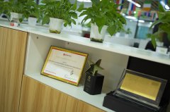 哈薩克斯坦公司自愿注銷的核心觸發(fā)原因解析